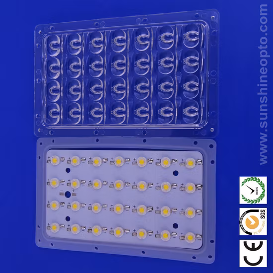 Remplacement pour SRT Scat Pack Grille Fumée LED Lumières Nez de Porc Fit pour Dodge Charger 2015-2020