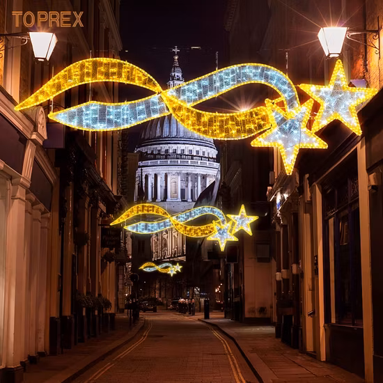 Options multicolores Décorations de vacances en plein air Lumières à motif LED 2D