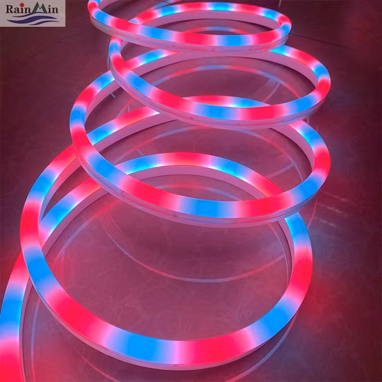 24V Ws2818 éclairage décoratif de bande de néon flexible